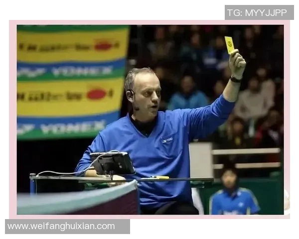 羽毛球赛事热门裁判员判罚风格介绍